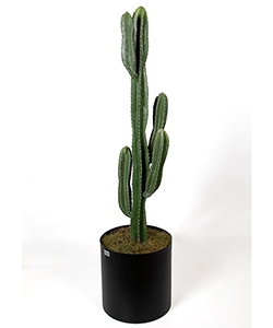 KAKTÜS 130CM SAKSILI