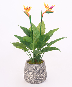 STARLİÇE ÇİÇEKLİ 80CM