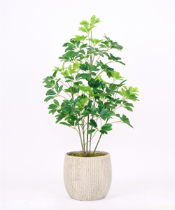 SHEFLERA REAL TOCUH 125CM