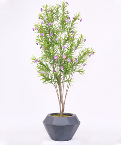 RUELLIA TREE 225CM