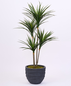 UV PLASTIC YUCCA SAKSILI  140CM